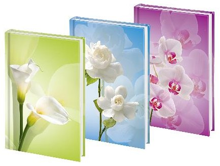 AKCE Poznámková kniha A5 Summertime, linka, 96 listů