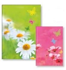 AKCE Poznámková kniha A5 Summertime, linka, 96 listů