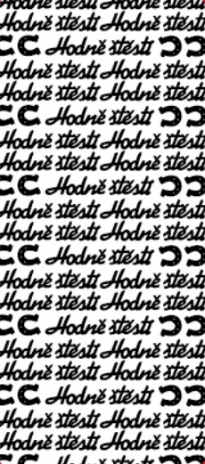 5ks Kontury 10x23 - hodně štěstí, stříbrné