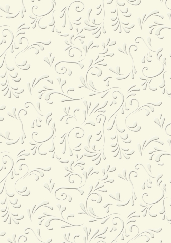 20 ks Karton reliéf A4 220g Roma champagne