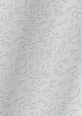 20 ks Karton reliéf A4 220g Roma stříbrný