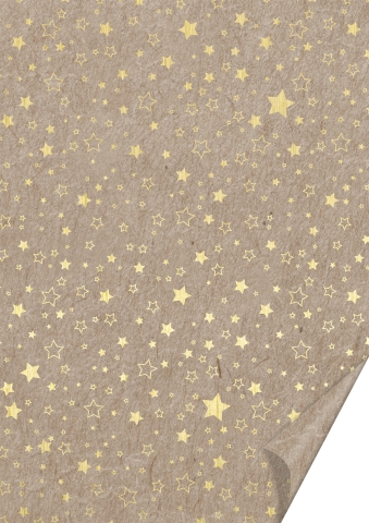 10 ks Karton A4 220g - hvězdičky, zlatý/ béžový