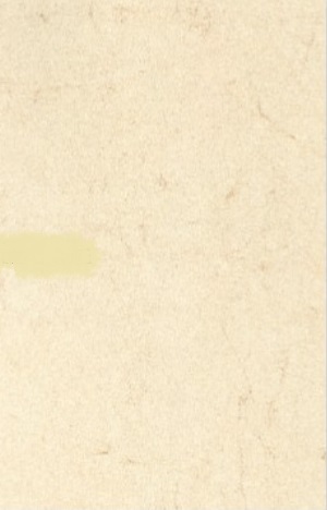 100 ks Sloní kůže A4 110g bílá