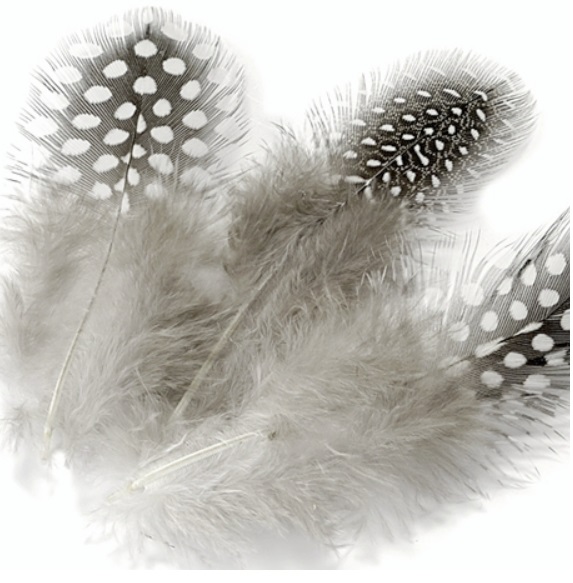 Peří z perličky 5cm - natur 20ks