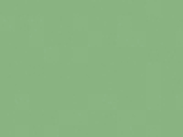 10 ks Pěnová guma 20x30cm 2mm zelená