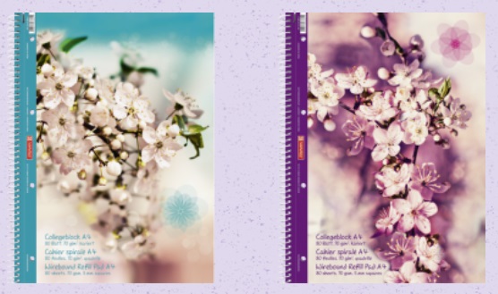 Blok A4 Summertime,čtvereček, spirála,80listů