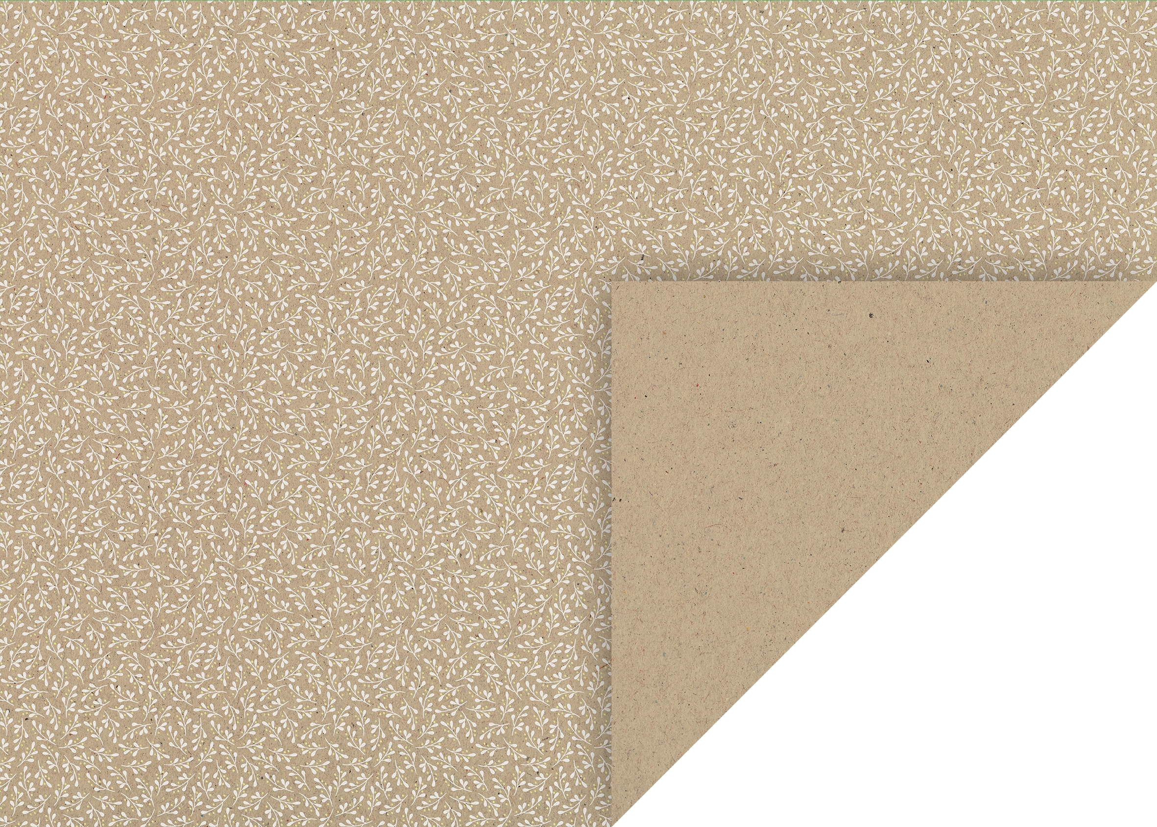 10 ks natur kartonů 50x70, 220g - natur jmelí, bílé lístky, zlatý lesk