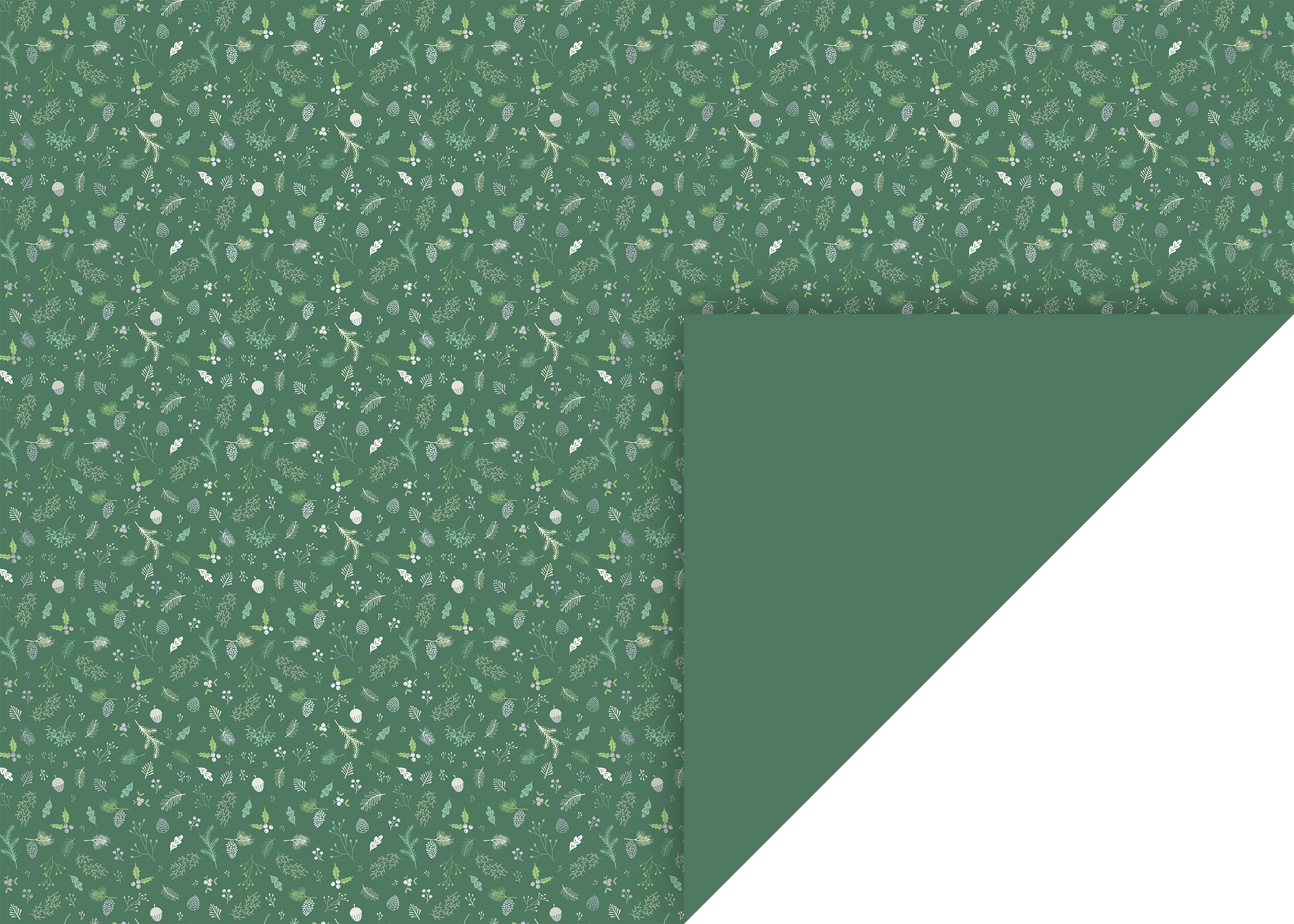 10 ks Karton 50x70 300g větvičky zelený/stříbrný