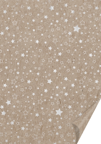 10 ks natur kartonů 50x70 220 hvězdičky stříbrné