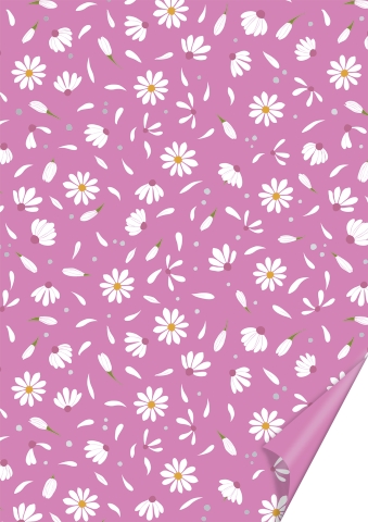 10 ks Karton A4 200g - Sedmikráska, růžový