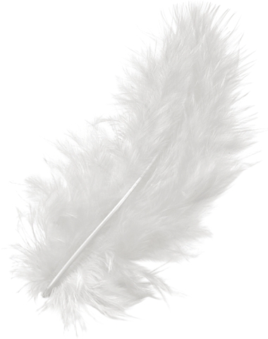 Peří Marabu 10cm - bílé 15ks