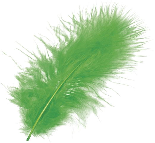 Peří Marabu 10cm - středně zelené 15ks
