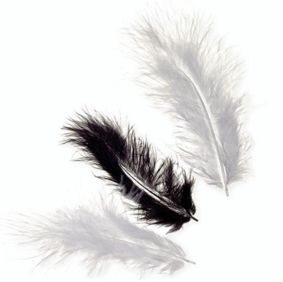 Peří Marabu 10cm - mix černý 15ks