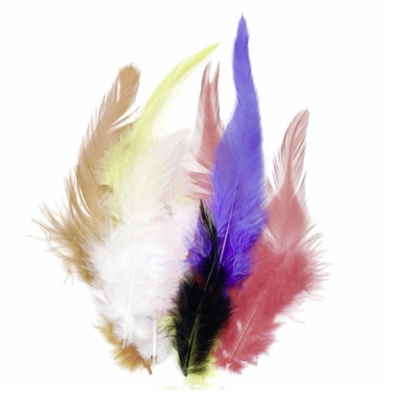 Peří kohoutí 10cm - mix barev 16ks