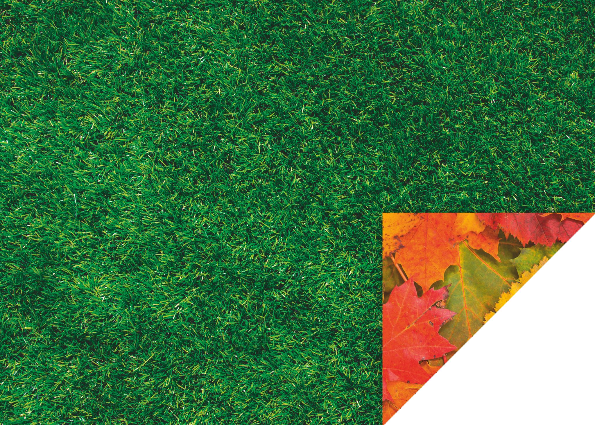 Karton 50x70 300g Listí, tráva - 1 list !!!!!